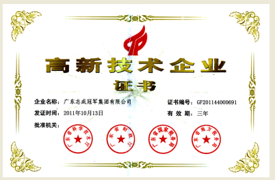 广东冠军集团有限公司